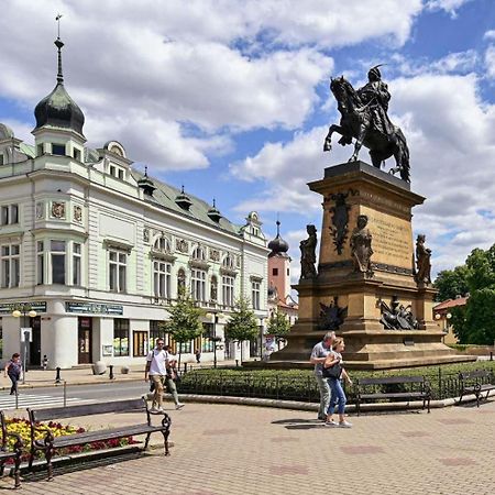 Apartment Spa And Fontain Poděbrady Exterior foto
