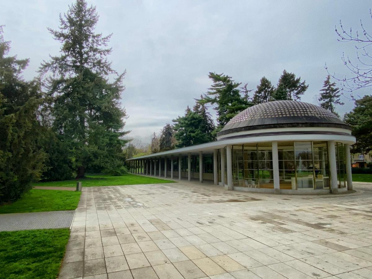 Apartment Spa And Fontain Poděbrady Exterior foto